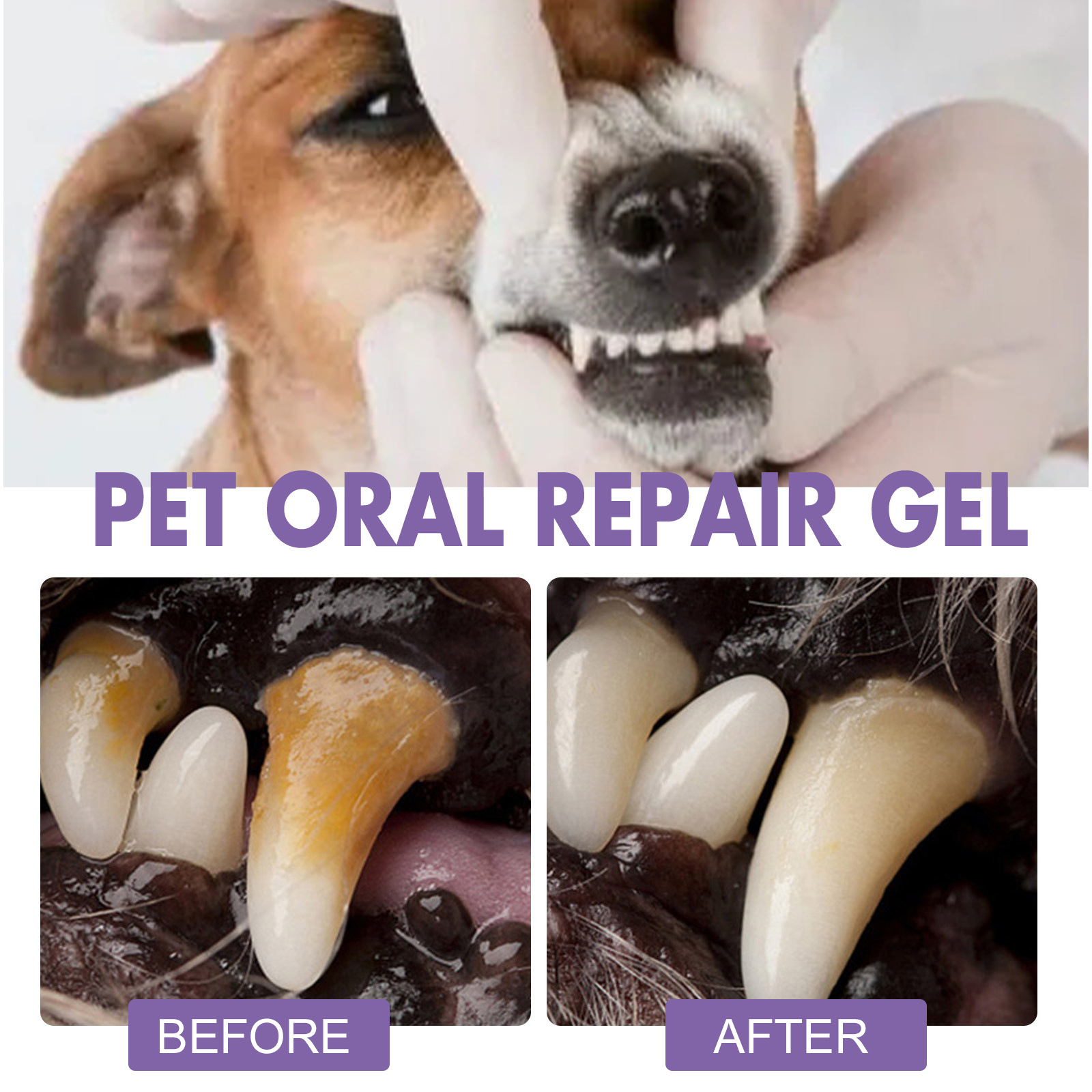 Pet Oral Repair Gel Puppy Tart - đánh giá và giá Teeth Whitening From Home