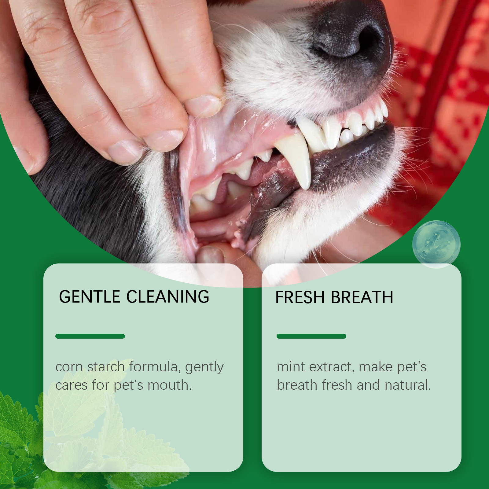 Pet Teeth Cleaning Powder Redu - đánh giá và giá Teeth Whitening From Home