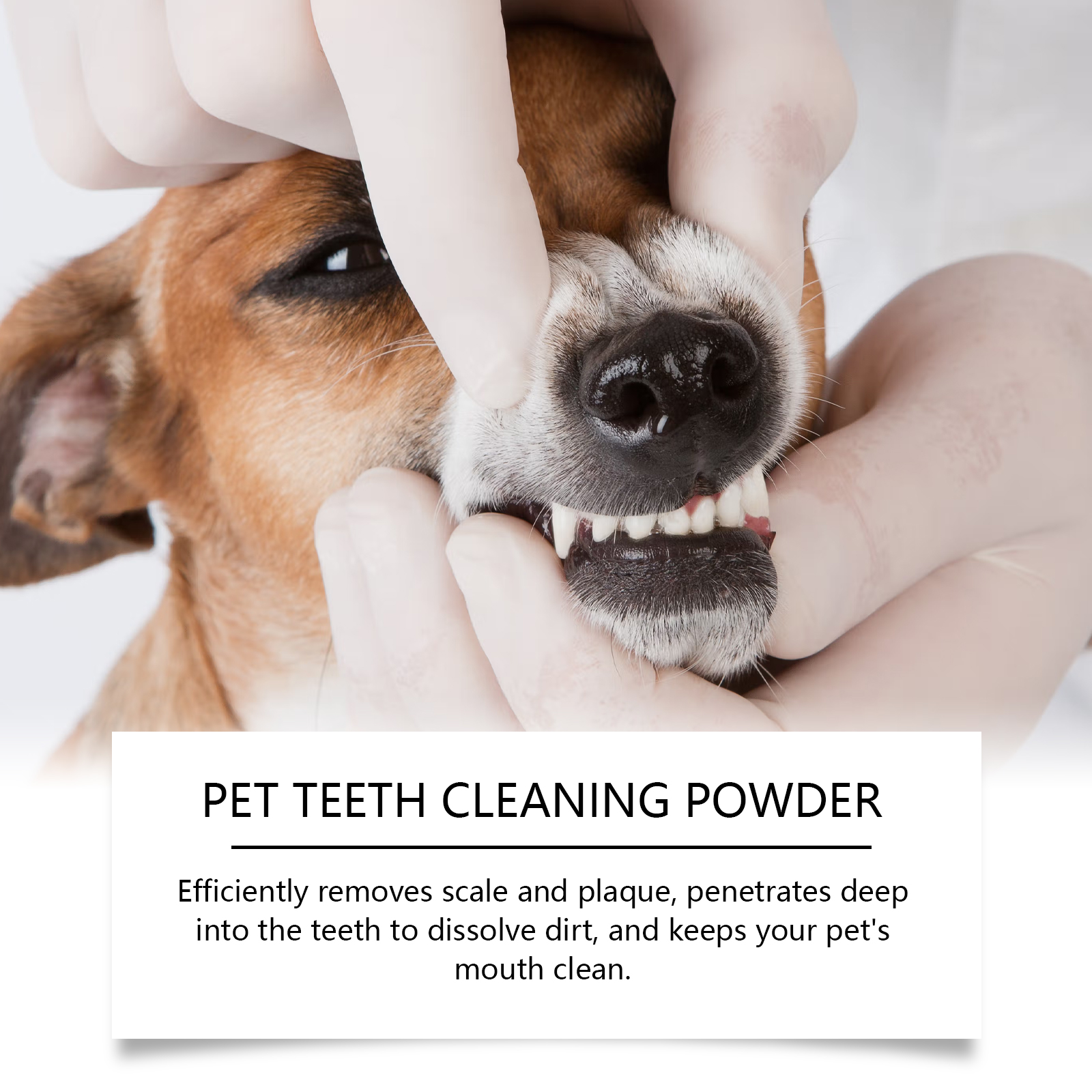 Pet Teeth Cleaning Powder Redu - đánh giá và giá Teeth Whitening From Home