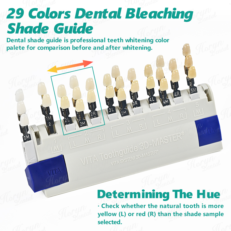 Vita 3D Master Dental Lab Blea - đánh giá và giá Teeth Whitening Bleach